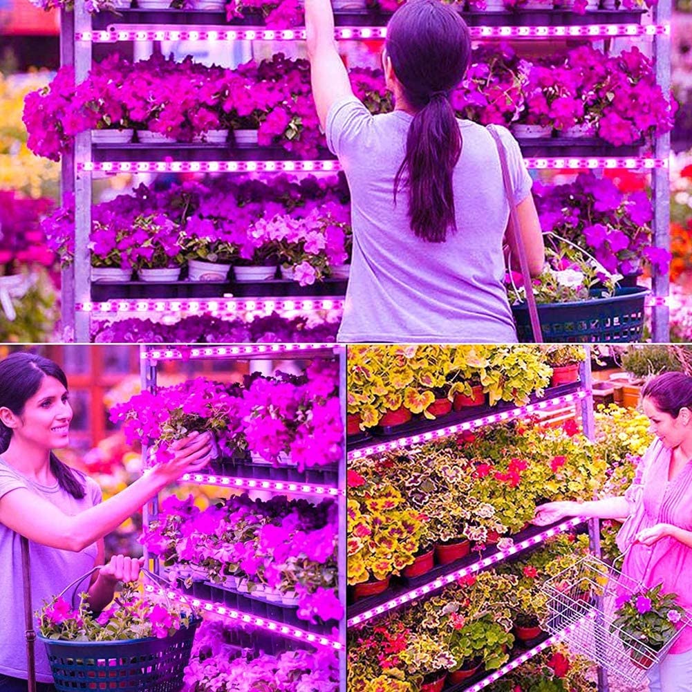 ELEPHANTBOAT 3Meters USB Charging LED Grow Light IP65 Waterproof Full Spectrum Light Strip Plant Light Grow Lights for Indoor Plants, Greenhouses, Aquariums, Hydroponic Plants ELEPHANTBOAT 3Meters USB Charging LED Grow Light IP65 Waterproof Full Spectrum Light Strip Plant Light Grow Lights for Indoor Plants, Greenhouses, Aquariums, Hydroponic Plants